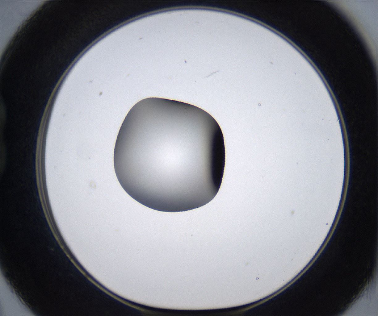 folderID299_plateID2299_batchID10844_wellNum21_profileID1_d1_r160962_ef.jpg