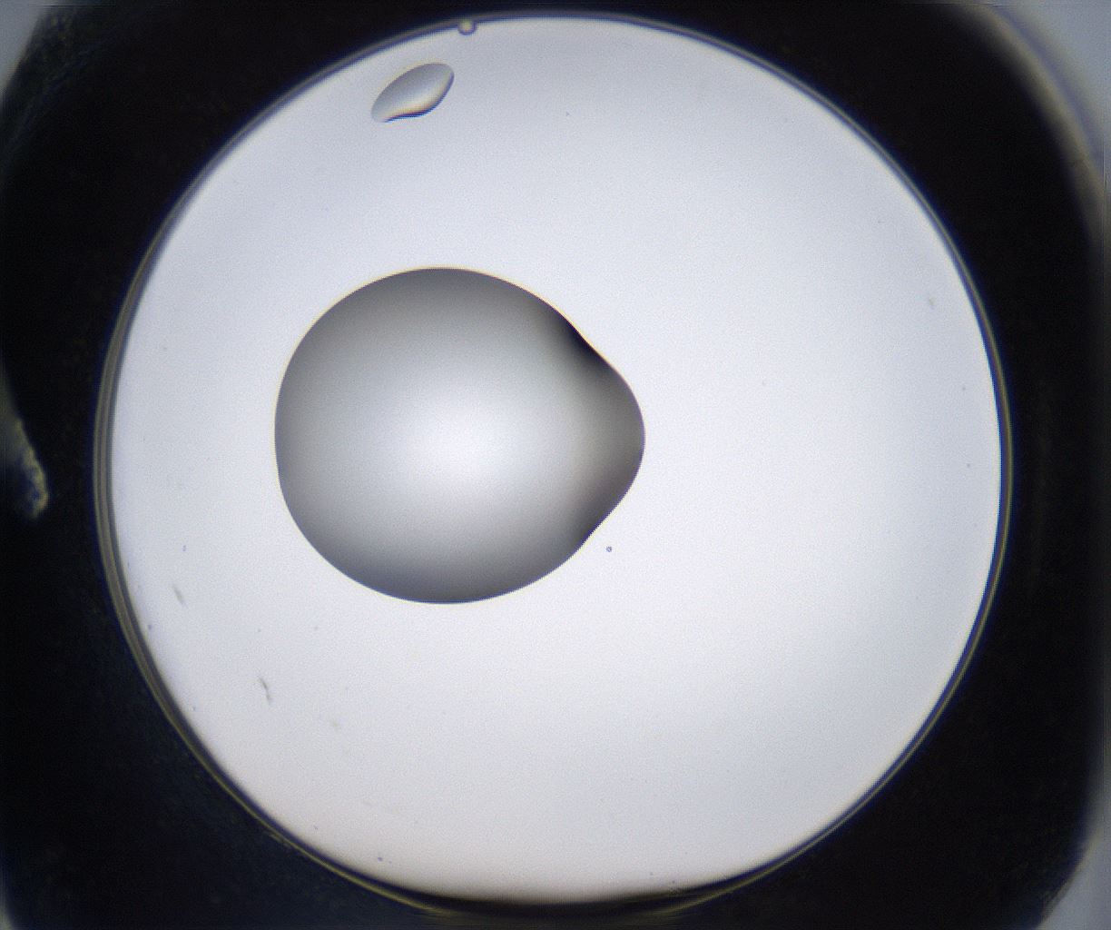 folderID299_plateID2299_batchID10844_wellNum2_profileID1_d1_r160943_ef.jpg