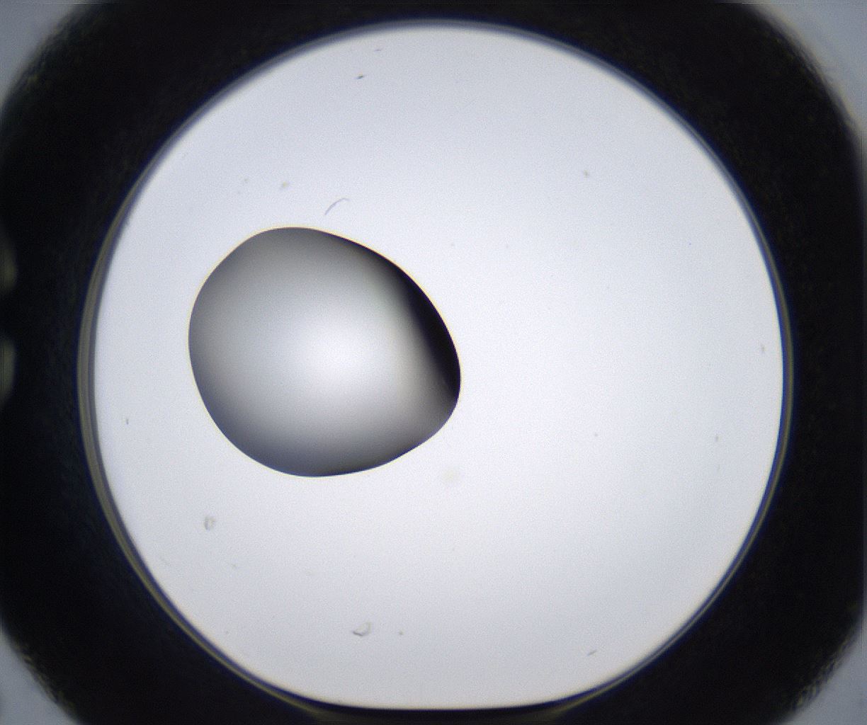 folderID299_plateID2299_batchID10844_wellNum30_profileID1_d1_r160971_ef.jpg