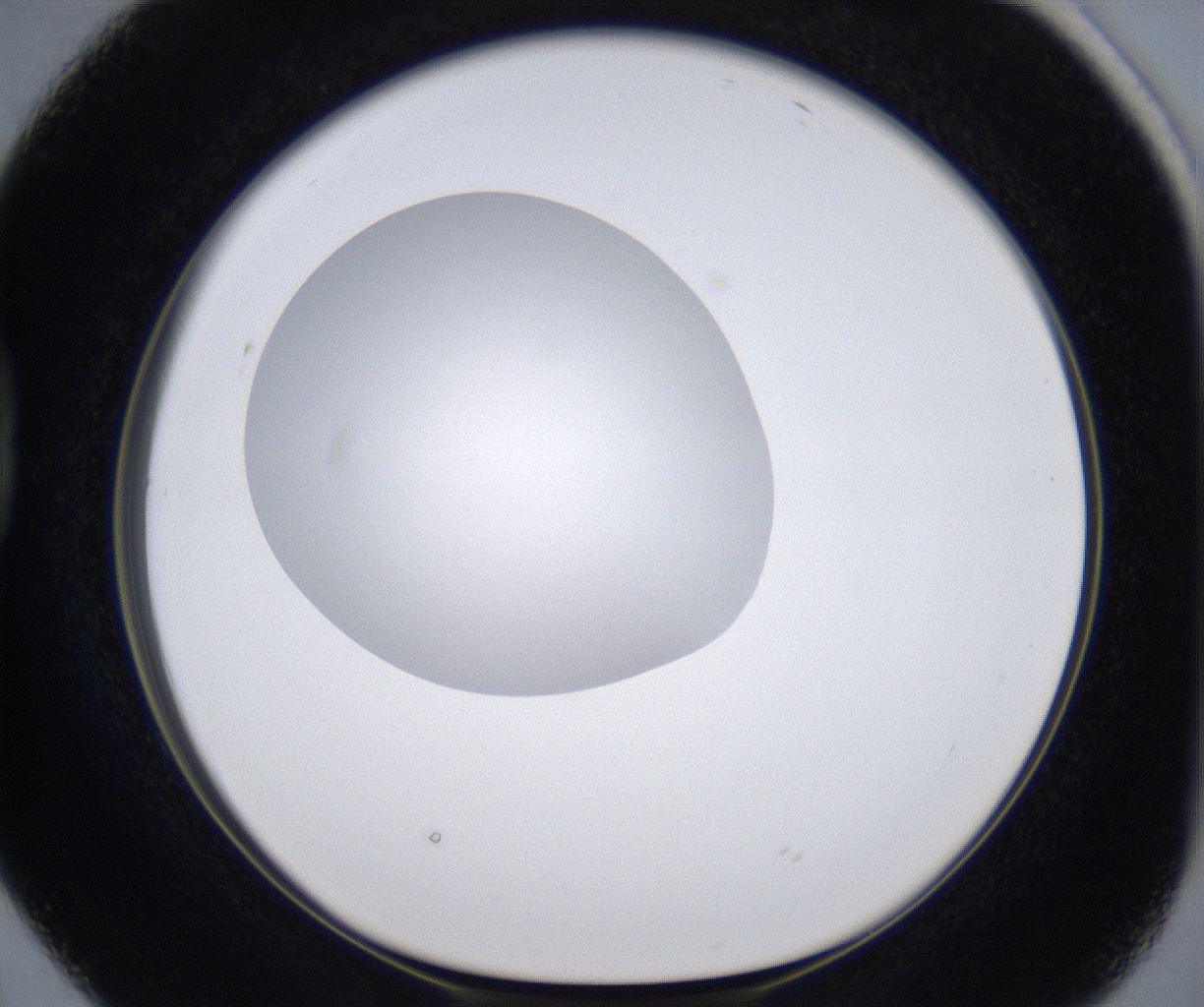 folderID299_plateID2299_batchID10844_wellNum38_profileID1_d1_r160979_ef.jpg