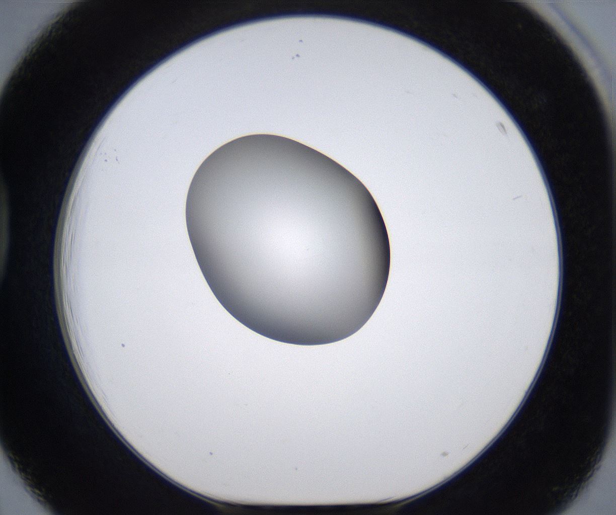 folderID299_plateID2299_batchID10844_wellNum39_profileID1_d1_r160980_ef.jpg