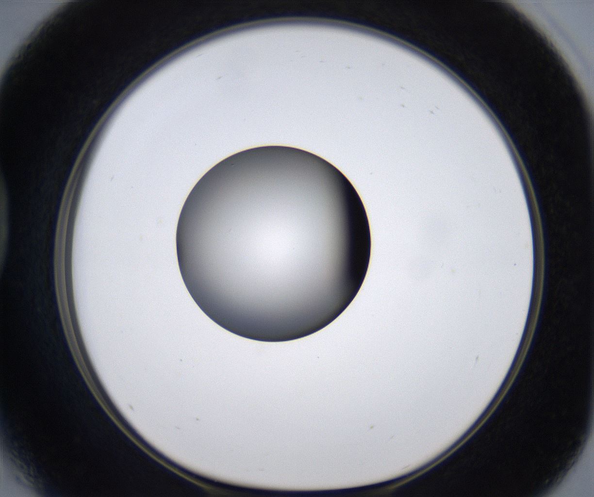 folderID299_plateID2299_batchID10844_wellNum41_profileID1_d1_r160982_ef.jpg