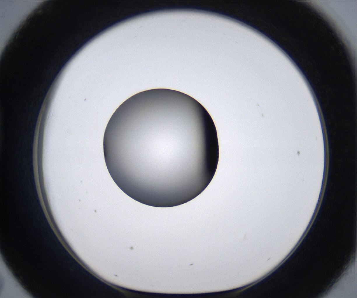 folderID299_plateID2299_batchID10844_wellNum43_profileID1_d1_r160984_ef.jpg