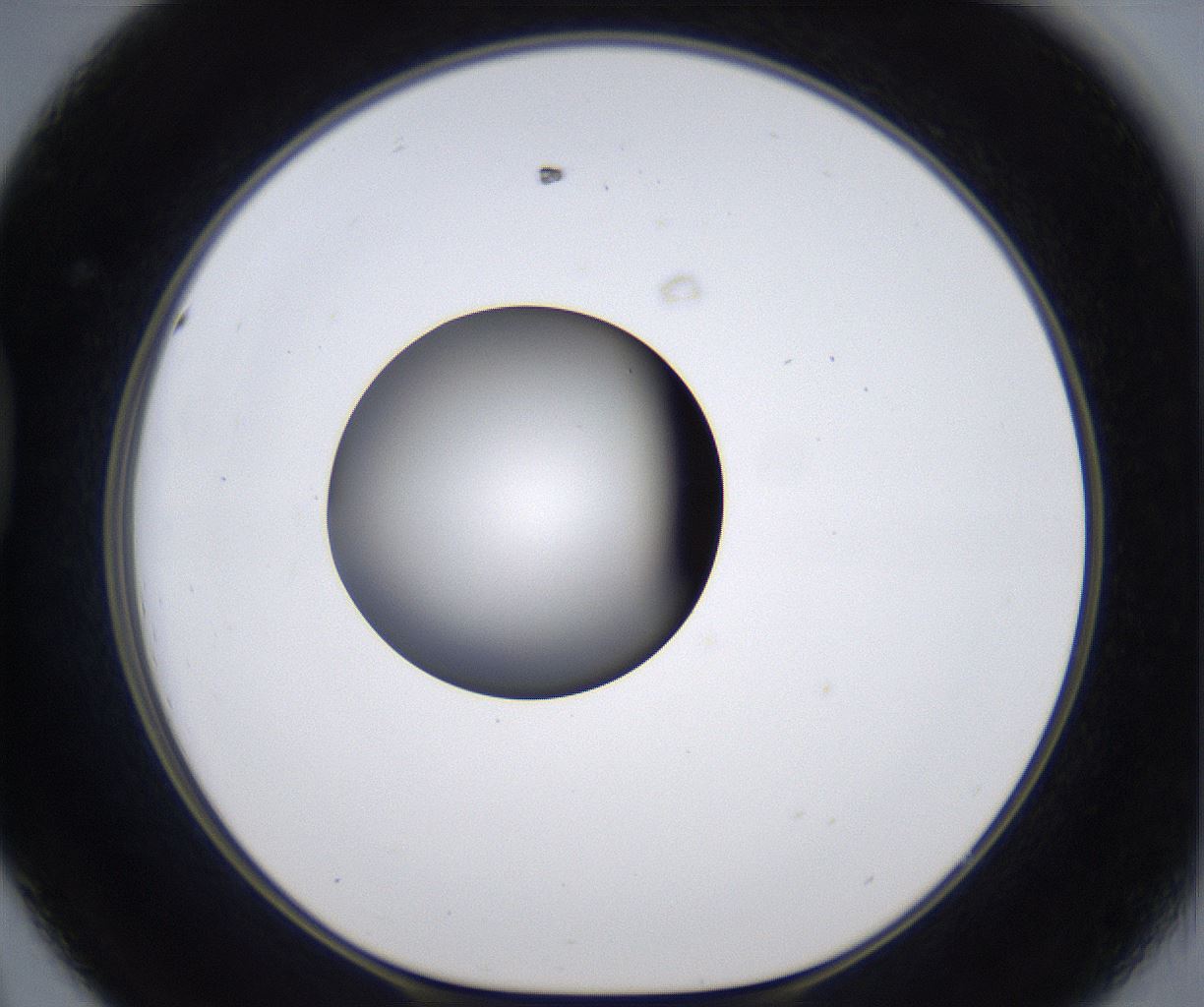 folderID299_plateID2299_batchID10844_wellNum44_profileID1_d1_r160985_ef.jpg