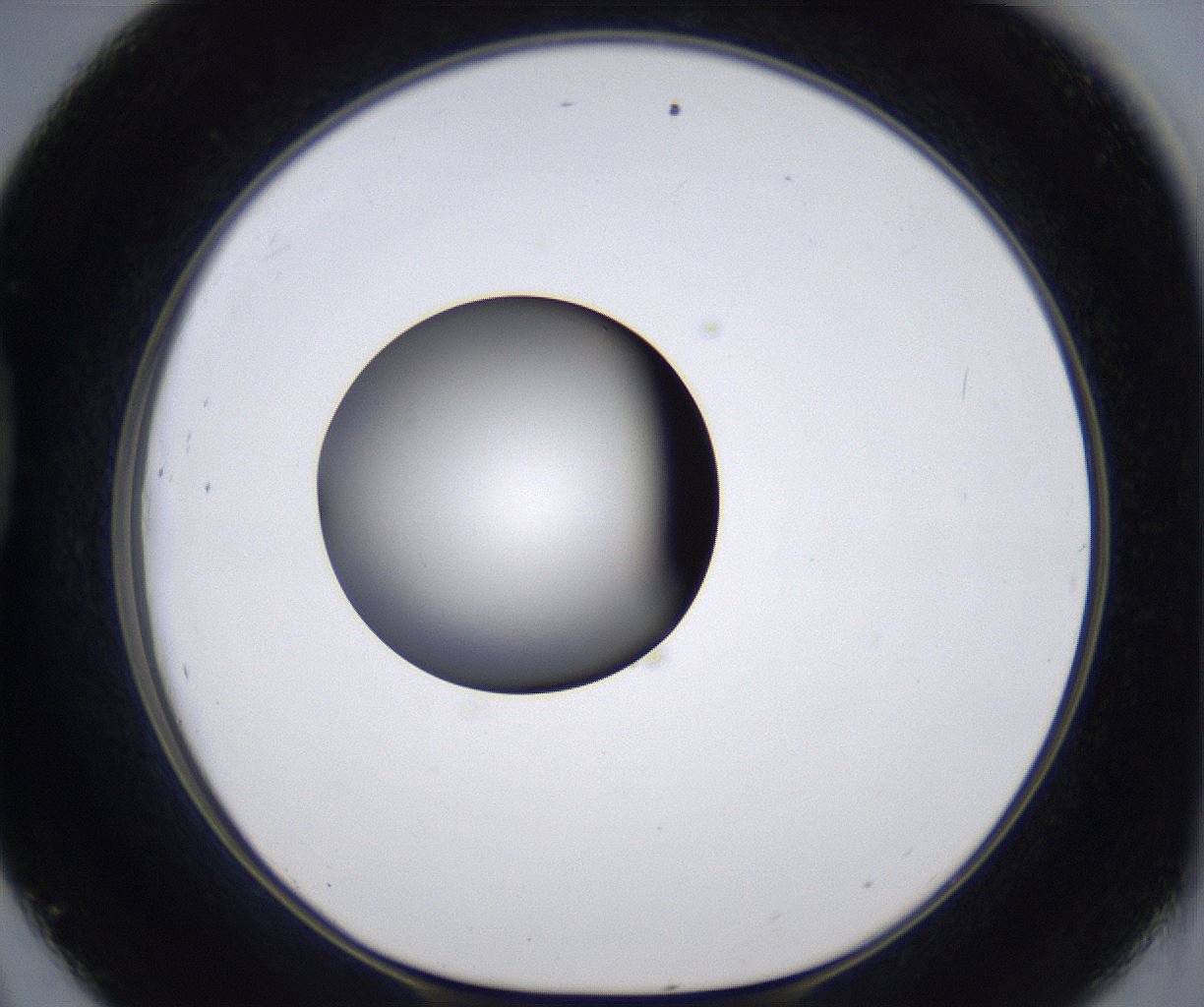 folderID299_plateID2299_batchID10844_wellNum45_profileID1_d1_r160986_ef.jpg
