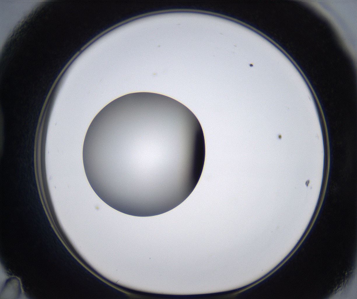 folderID299_plateID2299_batchID10844_wellNum47_profileID1_d1_r160988_ef.jpg