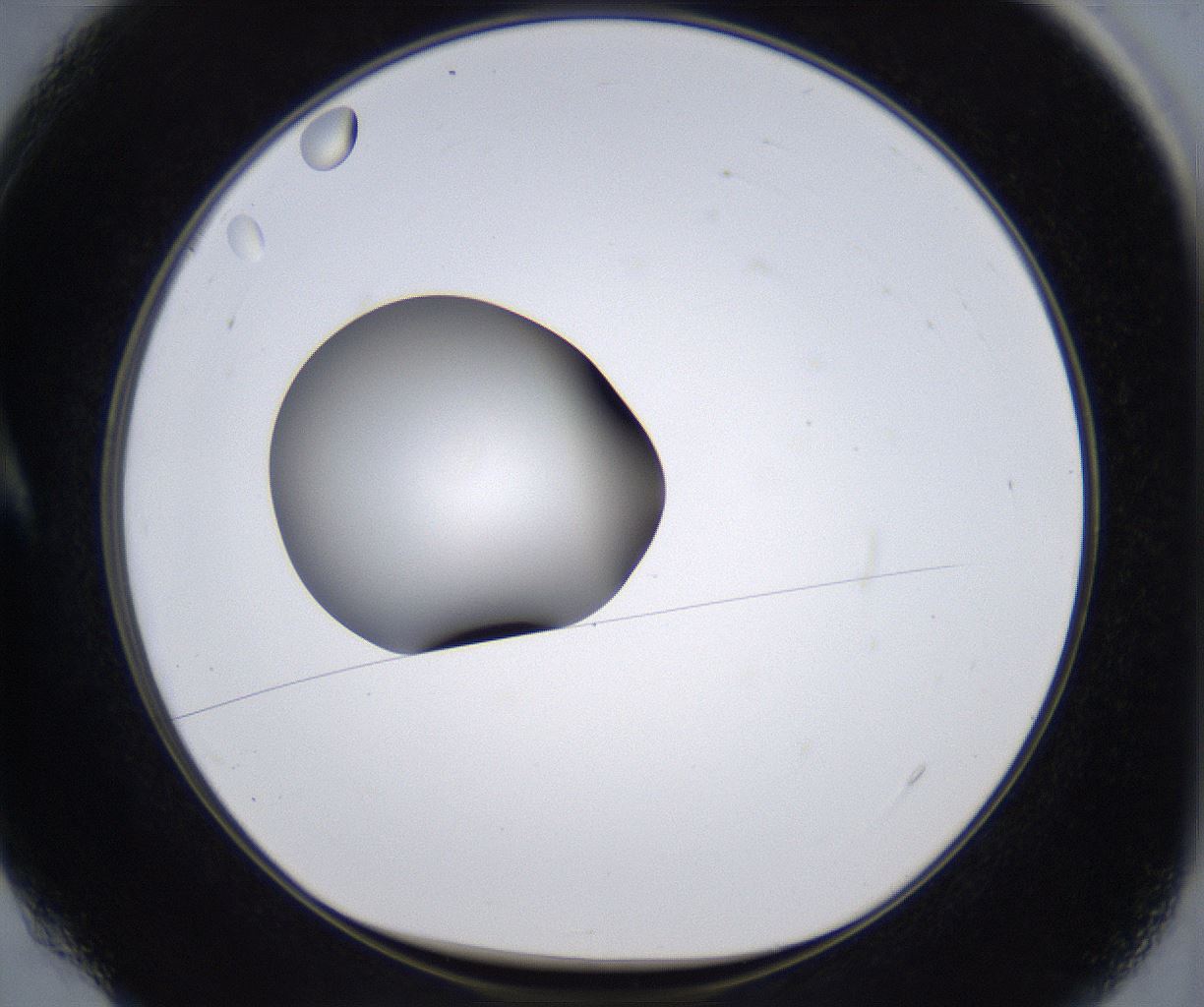 folderID299_plateID2299_batchID10844_wellNum4_profileID1_d1_r160945_ef.jpg