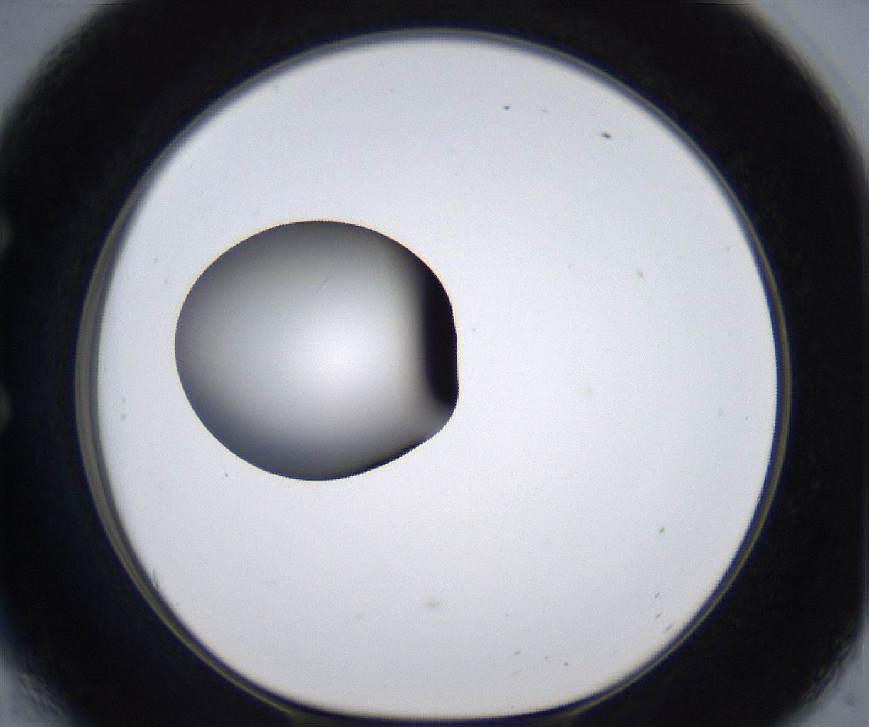 folderID299_plateID2299_batchID10844_wellNum54_profileID1_d1_r160995_ef.jpg