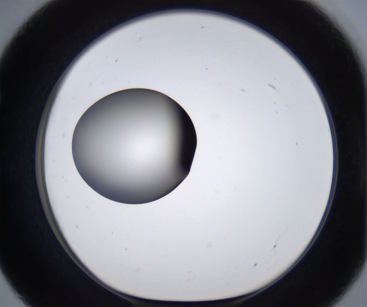 folderID299_plateID2299_batchID10844_wellNum55_profileID1_d1_r160996_ef.jpg