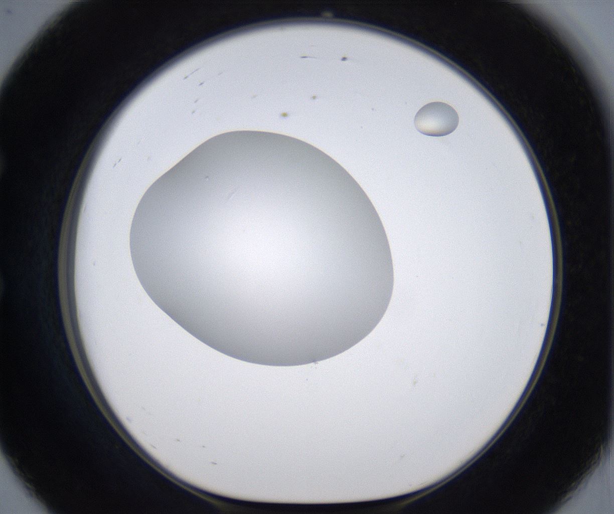 folderID299_plateID2299_batchID10844_wellNum56_profileID1_d1_r160997_ef.jpg