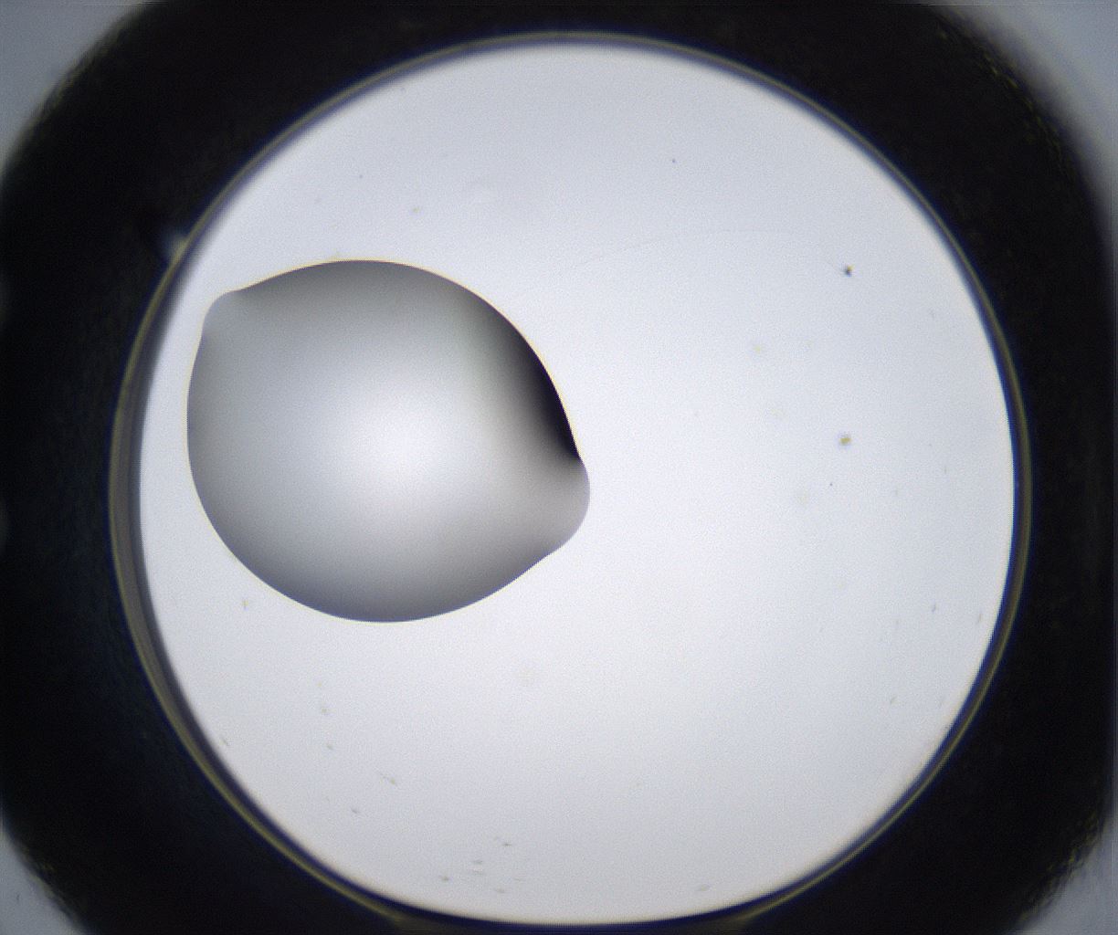 folderID299_plateID2299_batchID10844_wellNum57_profileID1_d1_r160998_ef.jpg