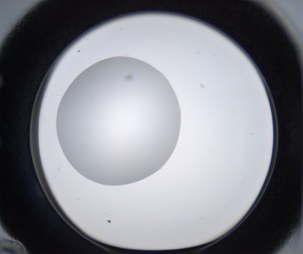 folderID299_plateID2299_batchID10844_wellNum58_profileID1_d1_r160999_ef.jpg