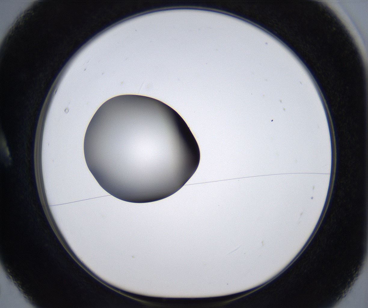 folderID299_plateID2299_batchID10844_wellNum5_profileID1_d1_r160946_ef.jpg