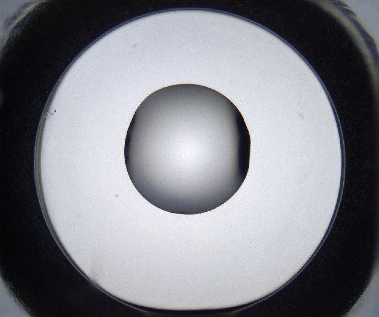 folderID299_plateID2299_batchID10844_wellNum61_profileID1_d1_r161002_ef.jpg