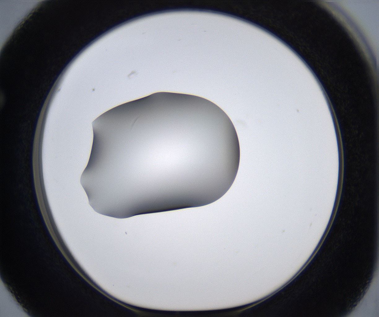 folderID299_plateID2299_batchID10844_wellNum63_profileID1_d1_r161004_ef.jpg