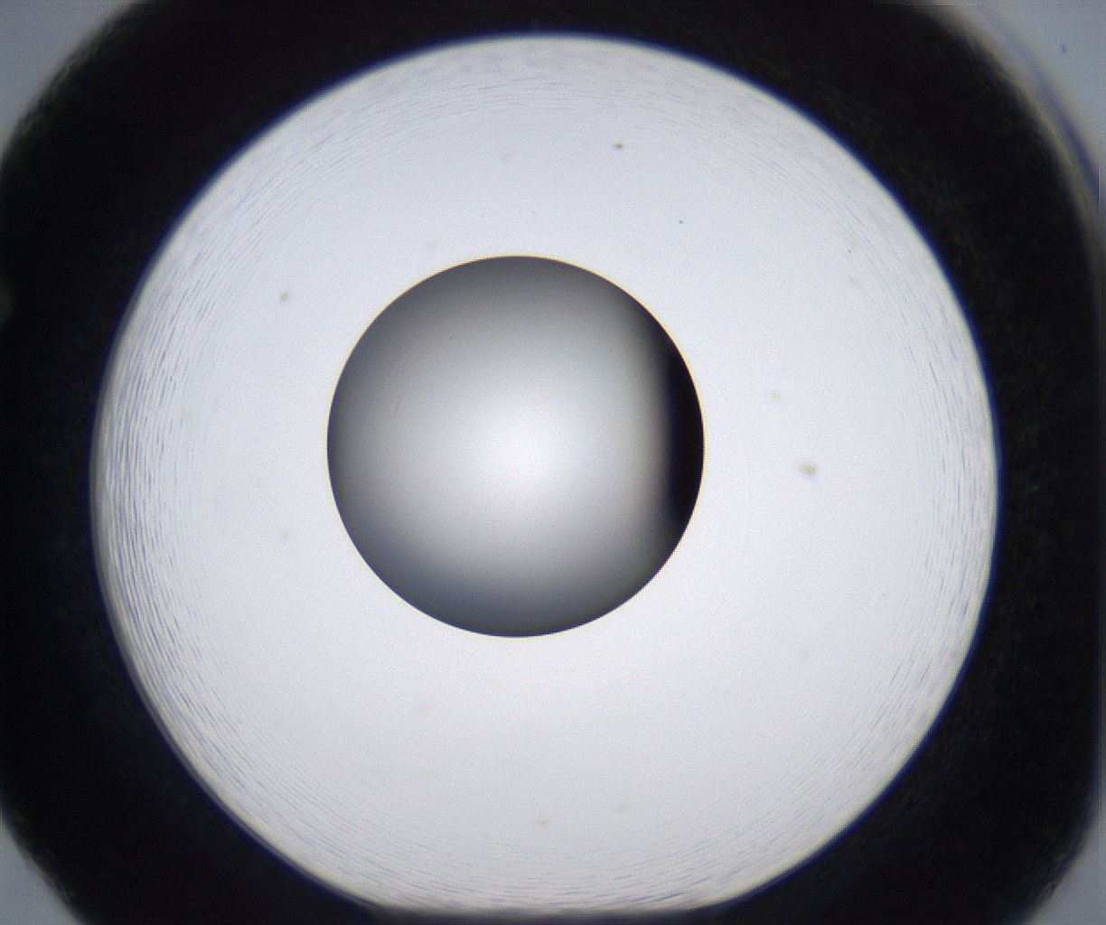 folderID299_plateID2299_batchID10844_wellNum65_profileID1_d1_r161006_ef.jpg