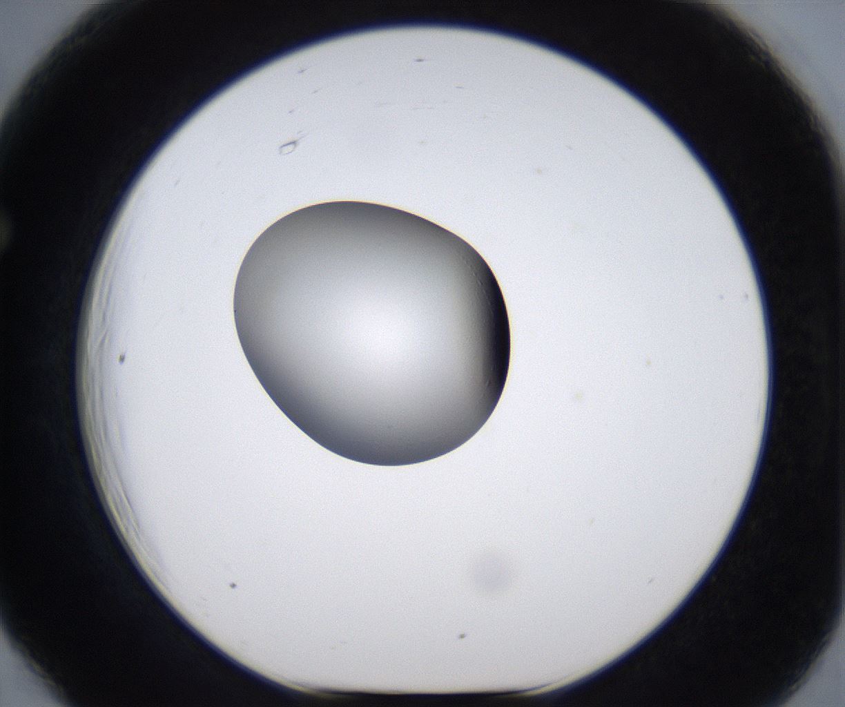 folderID299_plateID2299_batchID10844_wellNum66_profileID1_d1_r161007_ef.jpg
