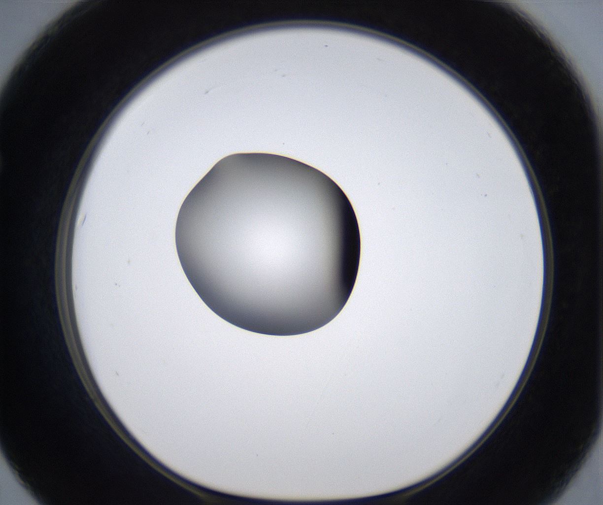 folderID299_plateID2299_batchID10844_wellNum67_profileID1_d1_r161008_ef.jpg