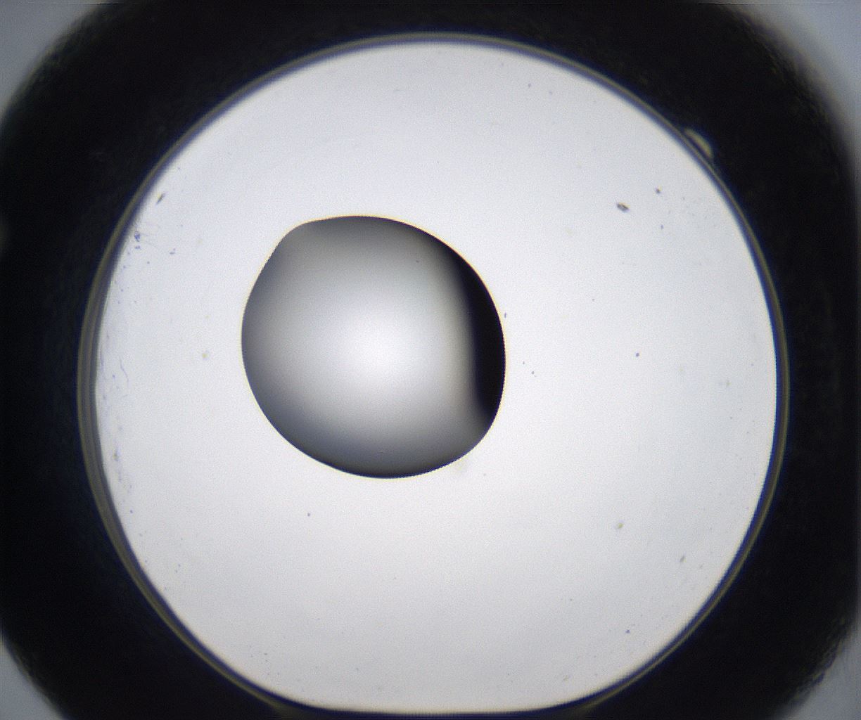 folderID299_plateID2299_batchID10844_wellNum69_profileID1_d1_r161010_ef.jpg