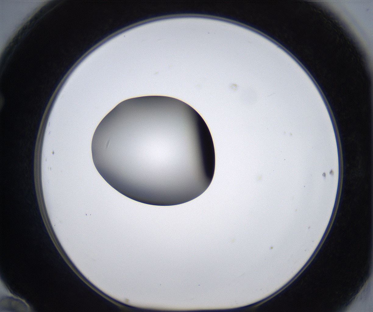folderID299_plateID2299_batchID10844_wellNum70_profileID1_d1_r161011_ef.jpg