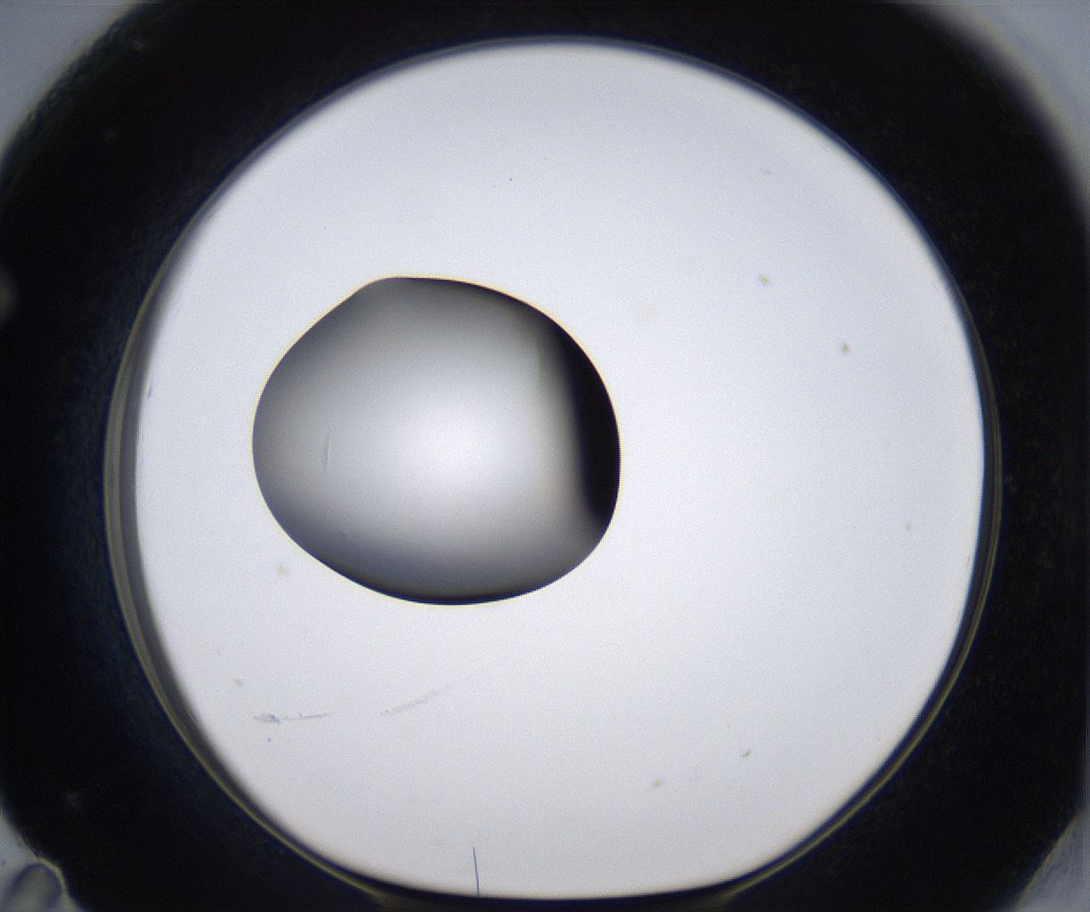 folderID299_plateID2299_batchID10844_wellNum71_profileID1_d1_r161012_ef.jpg