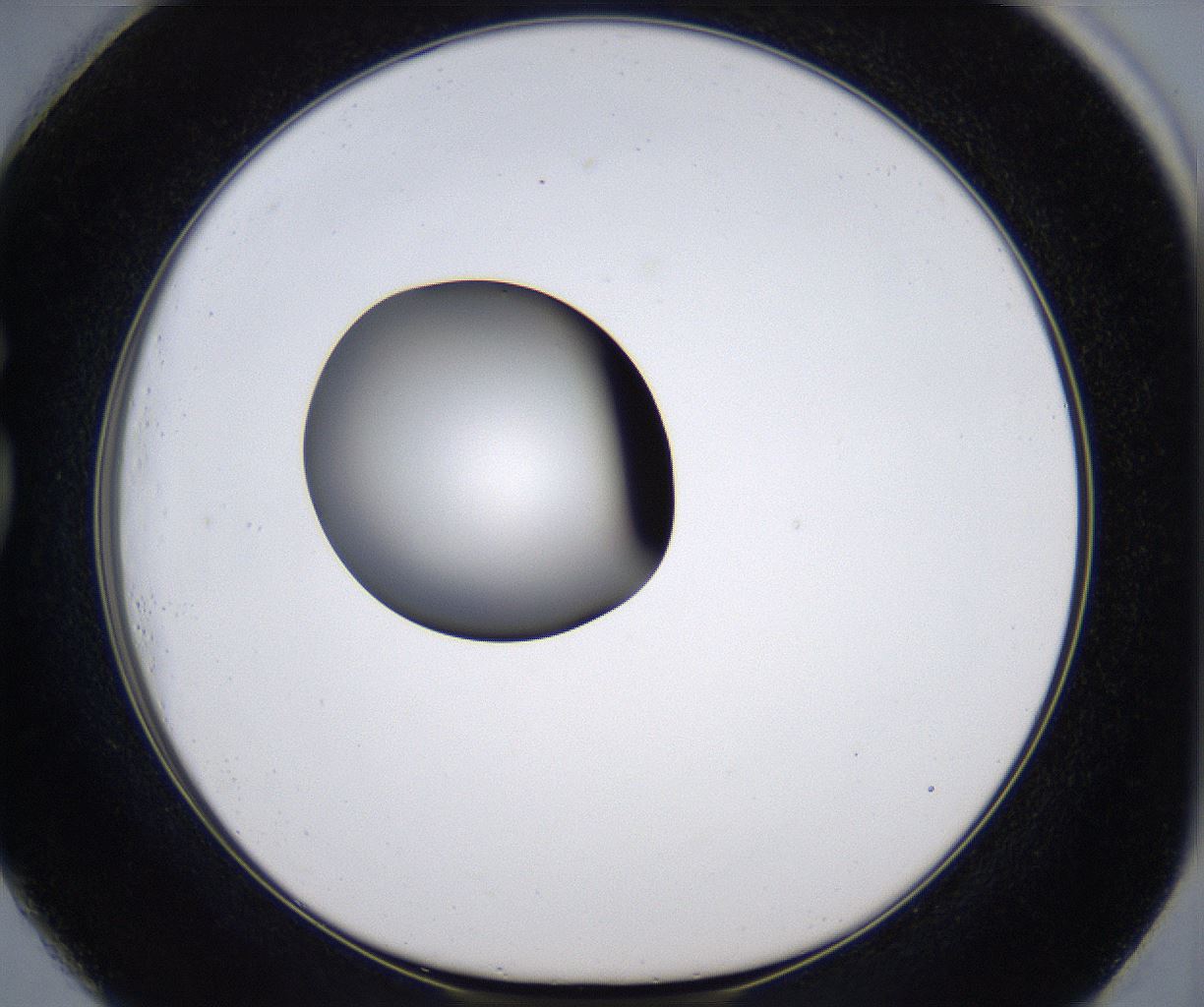 folderID299_plateID2299_batchID10844_wellNum73_profileID1_d1_r161014_ef.jpg