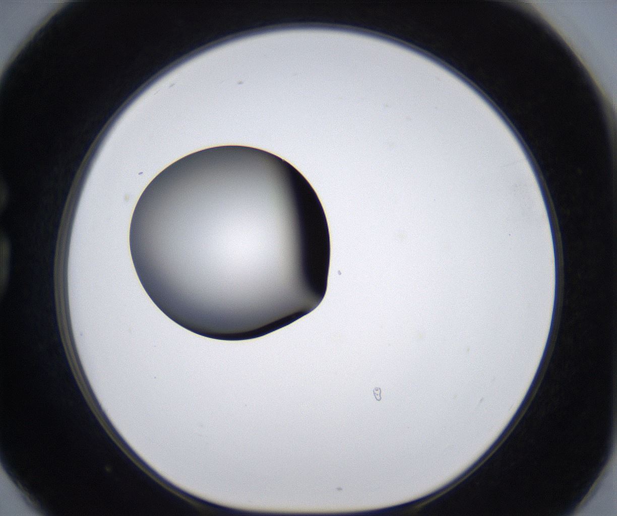 folderID299_plateID2299_batchID10844_wellNum78_profileID1_d1_r161019_ef.jpg