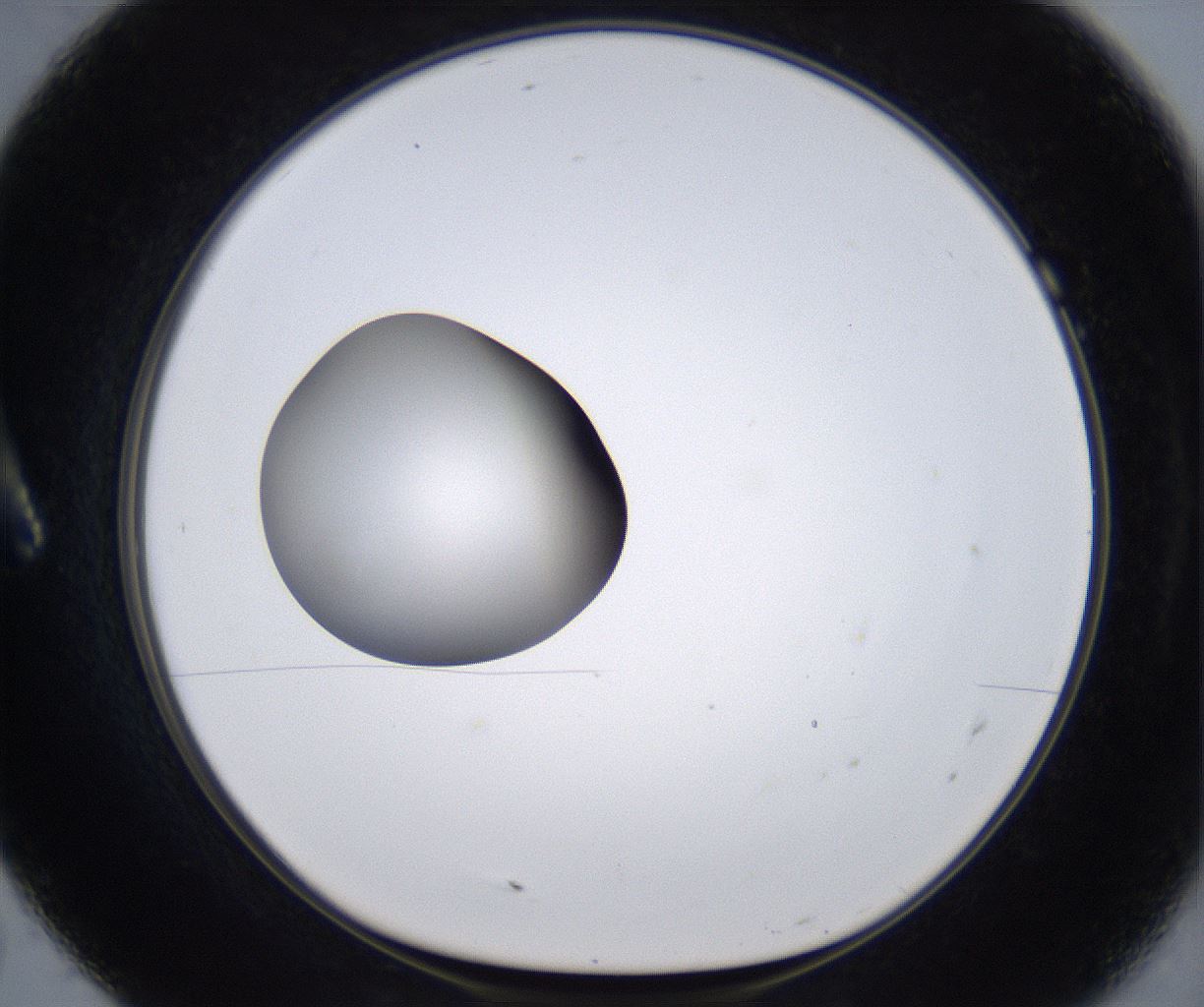 folderID299_plateID2299_batchID10844_wellNum7_profileID1_d1_r160948_ef.jpg