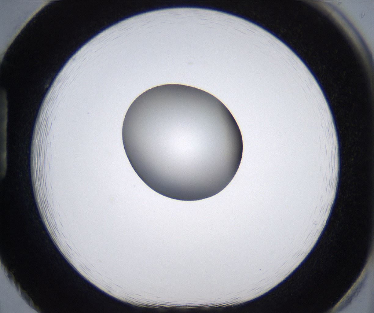 folderID299_plateID2299_batchID10844_wellNum86_profileID1_d1_r161027_ef.jpg