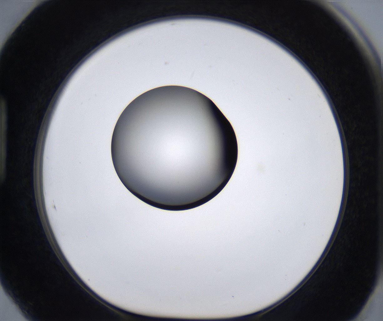 folderID299_plateID2299_batchID10844_wellNum89_profileID1_d1_r161030_ef.jpg
