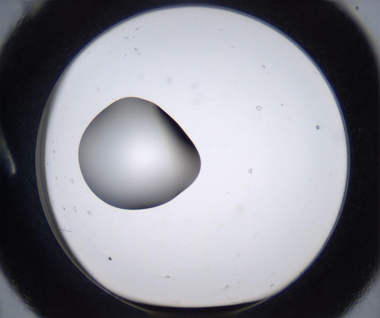 folderID299_plateID2299_batchID10844_wellNum8_profileID1_d1_r160949_ef.jpg