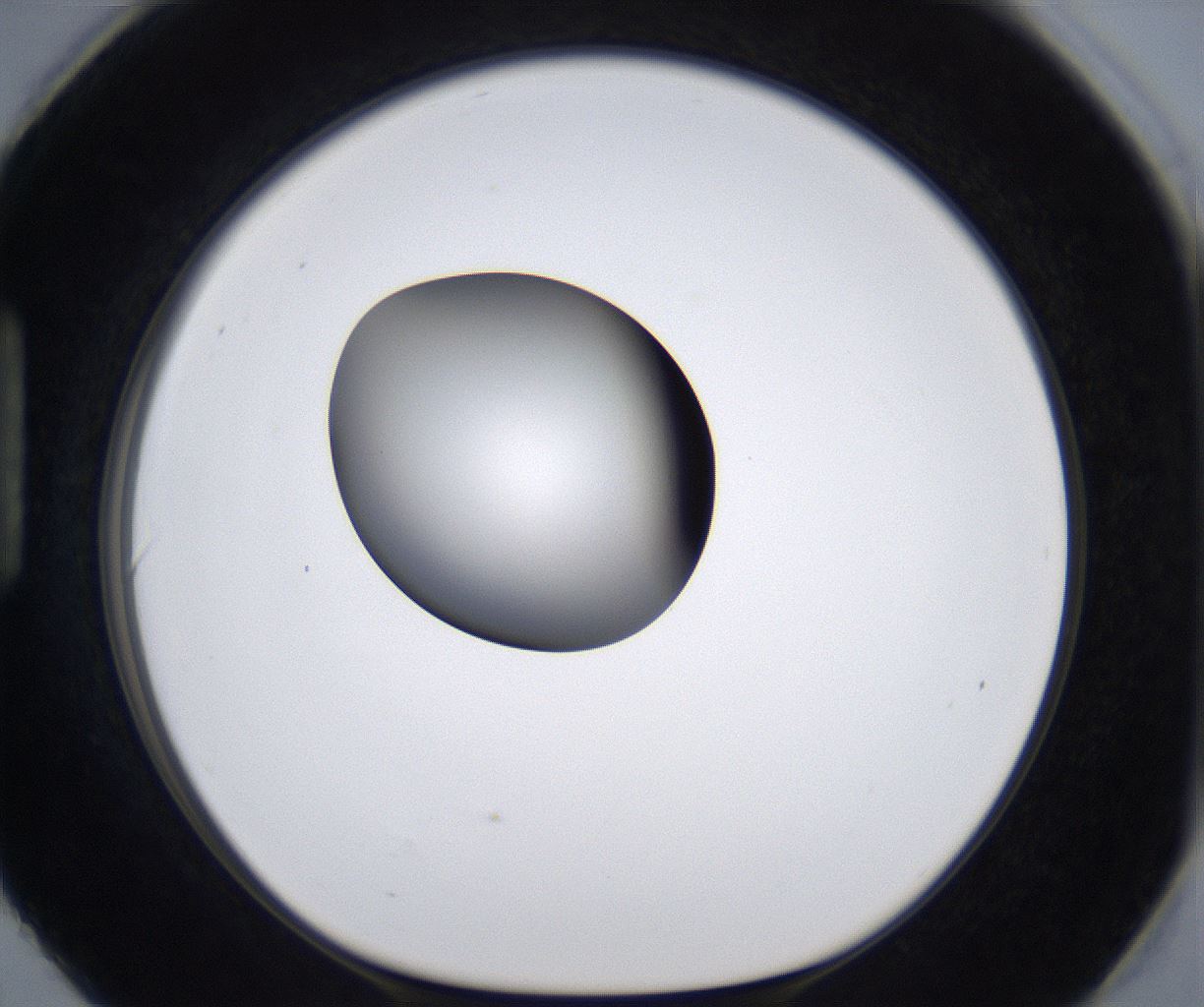 folderID299_plateID2299_batchID10844_wellNum90_profileID1_d1_r161031_ef.jpg