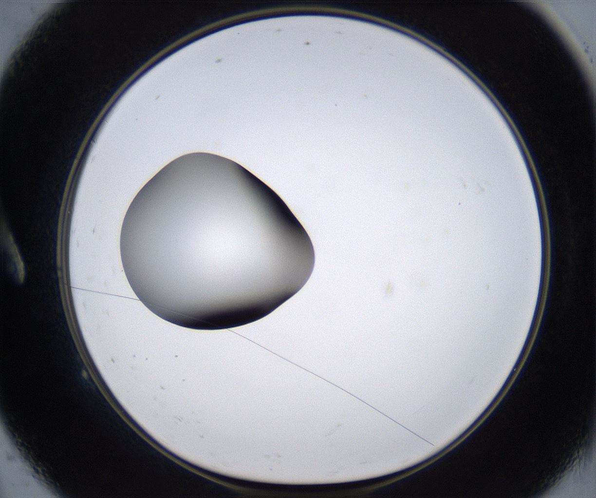 folderID299_plateID2299_batchID10844_wellNum9_profileID1_d1_r160950_ef.jpg