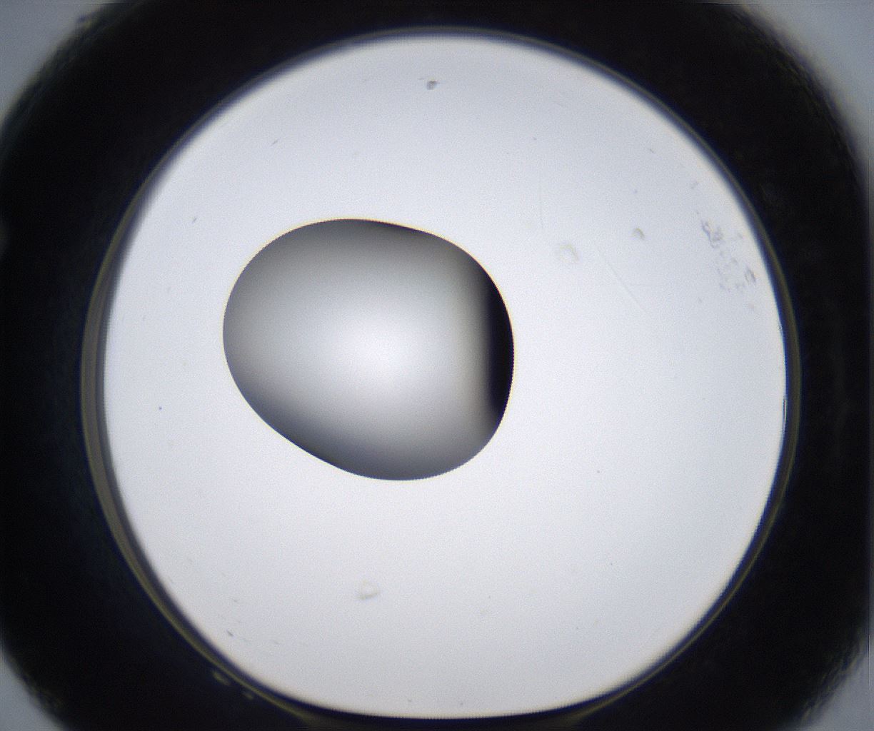 folderID299_plateID2299_batchID10844_wellNum68_profileID1_d1_r161009_ef.jpg