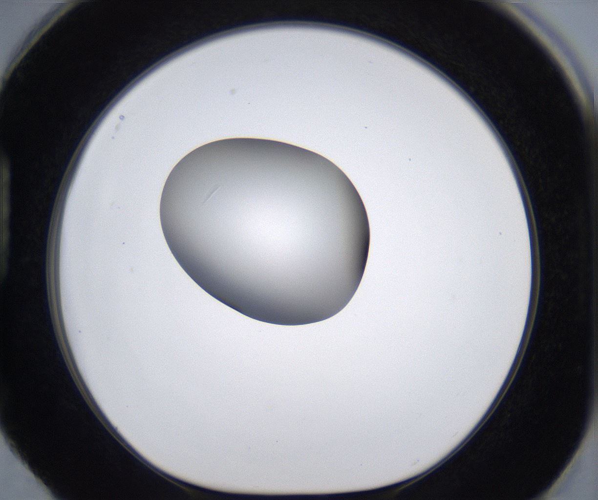 folderID299_plateID2299_batchID10844_wellNum88_profileID1_d1_r161029_ef.jpg