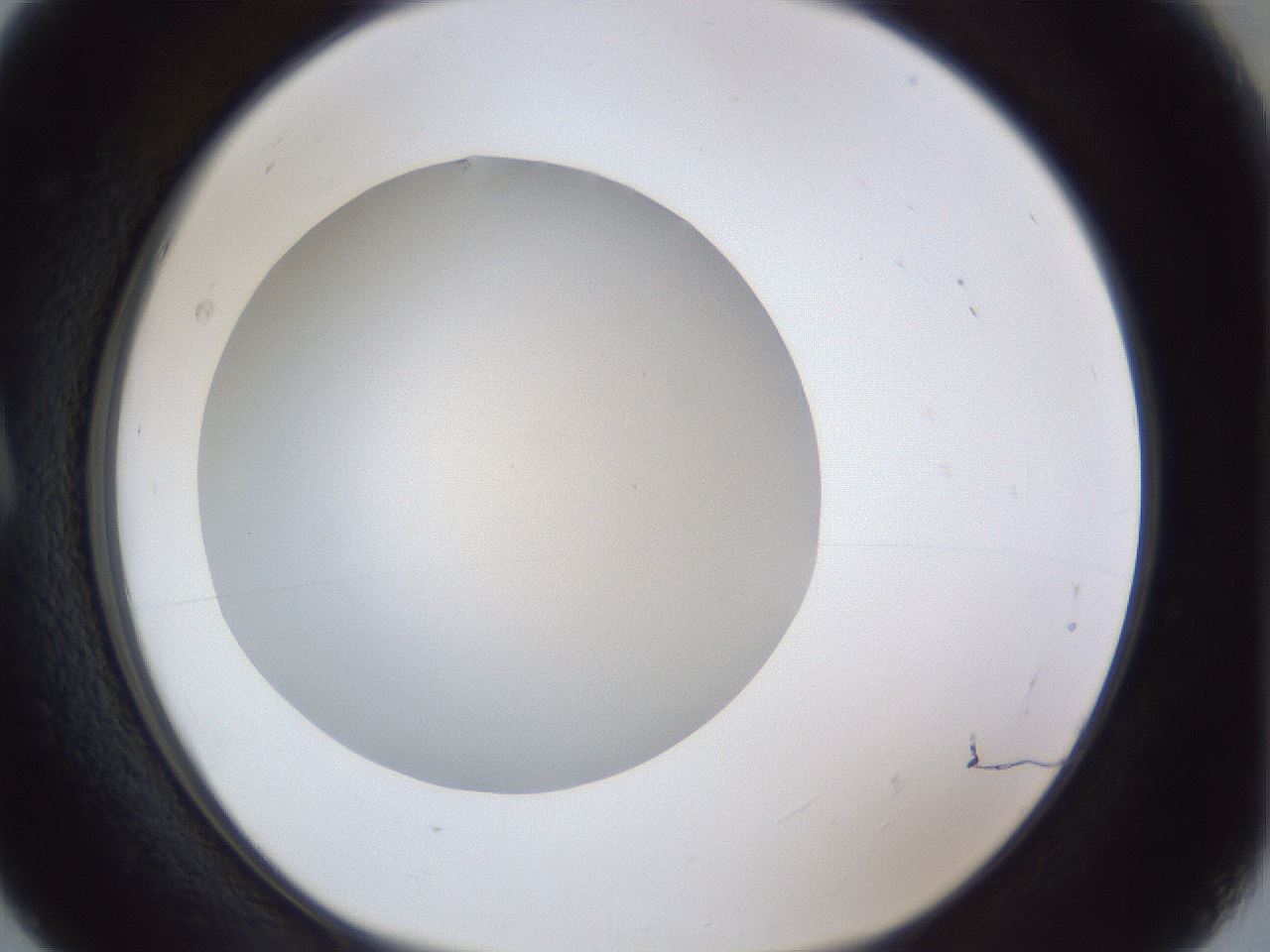 folderID29_plateID1029_batchID1998_wellNum5_profileID1_d1_r44140_ef.jpg
