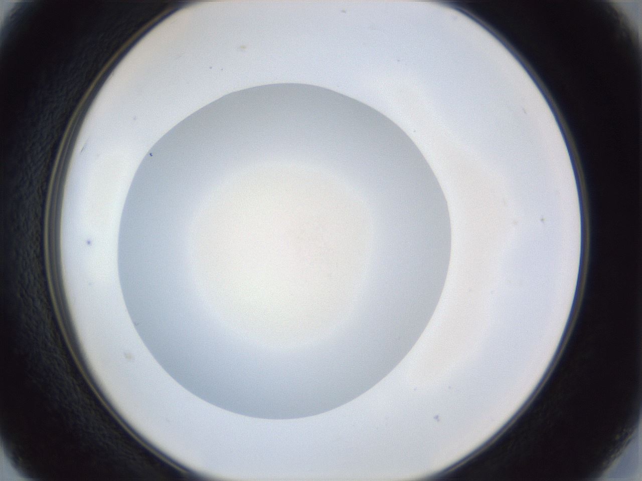 folderID29_plateID1029_batchID1998_wellNum15_profileID1_d2_r44161_ef.jpg