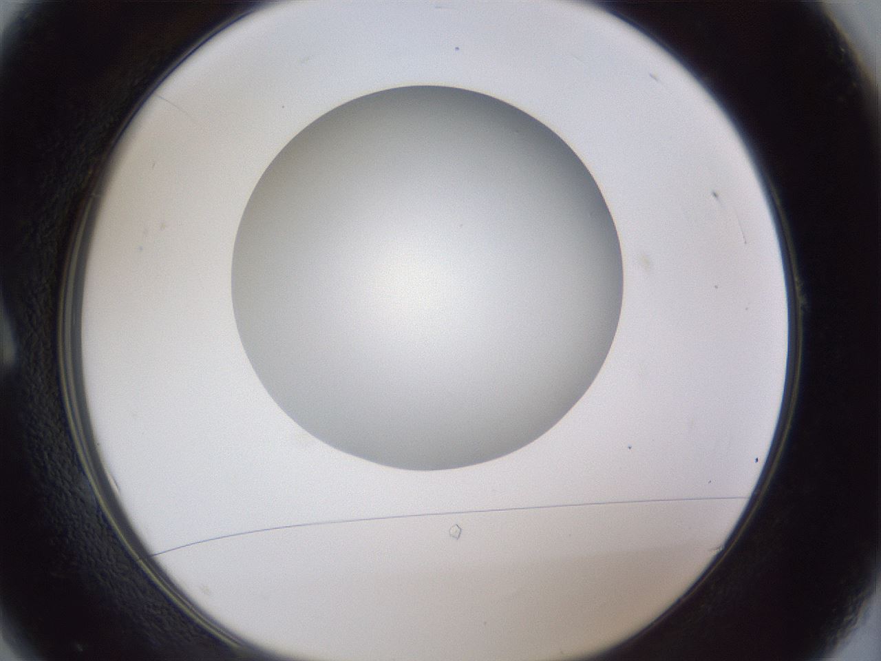 folderID29_plateID1029_batchID1998_wellNum1_profileID1_d1_r44132_ef.jpg