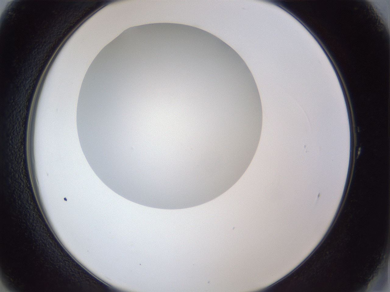 folderID29_plateID1029_batchID1998_wellNum1_profileID1_d2_r44133_ef.jpg