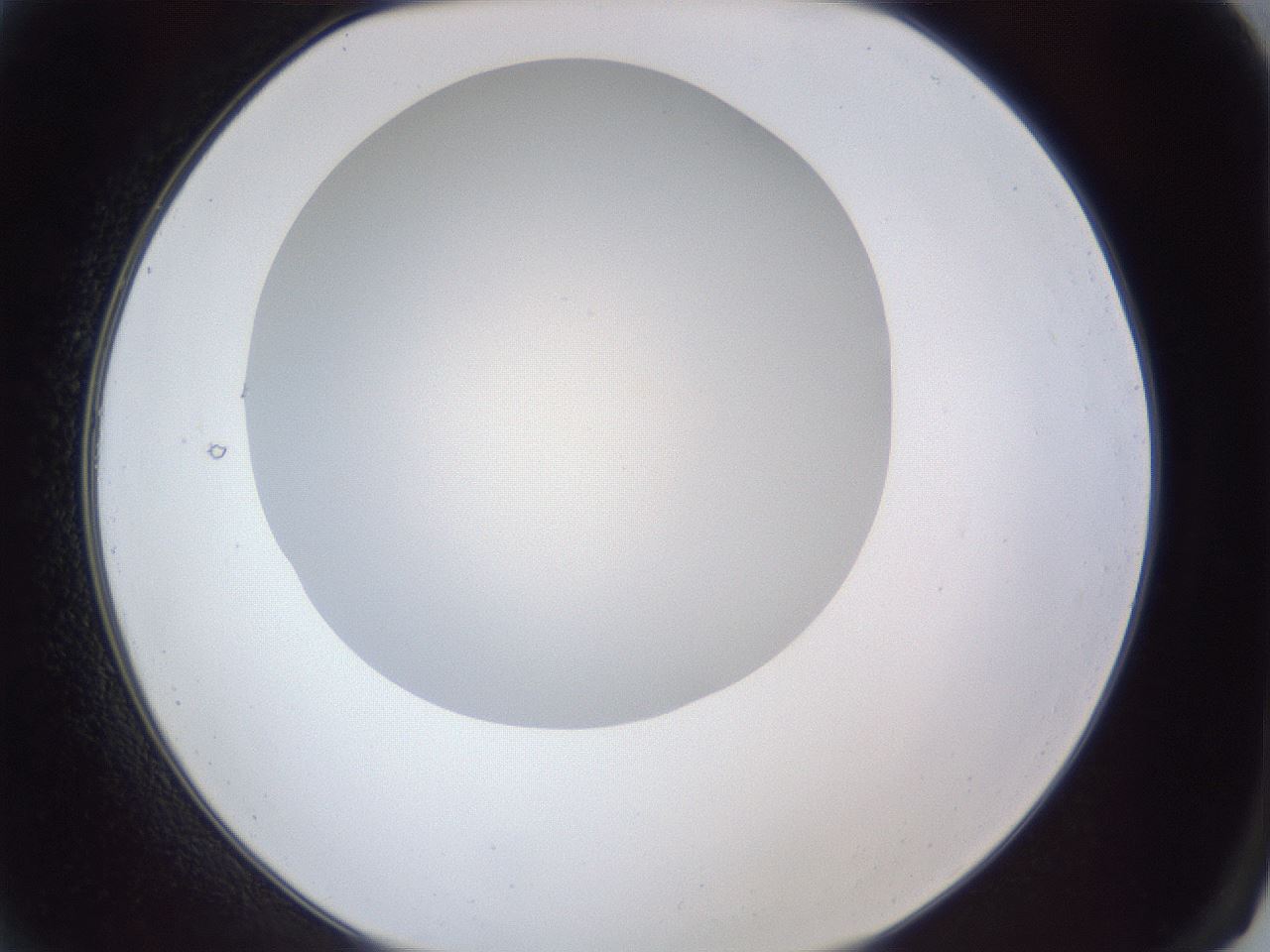 folderID29_plateID1029_batchID1998_wellNum2_profileID1_d2_r44135_ef.jpg