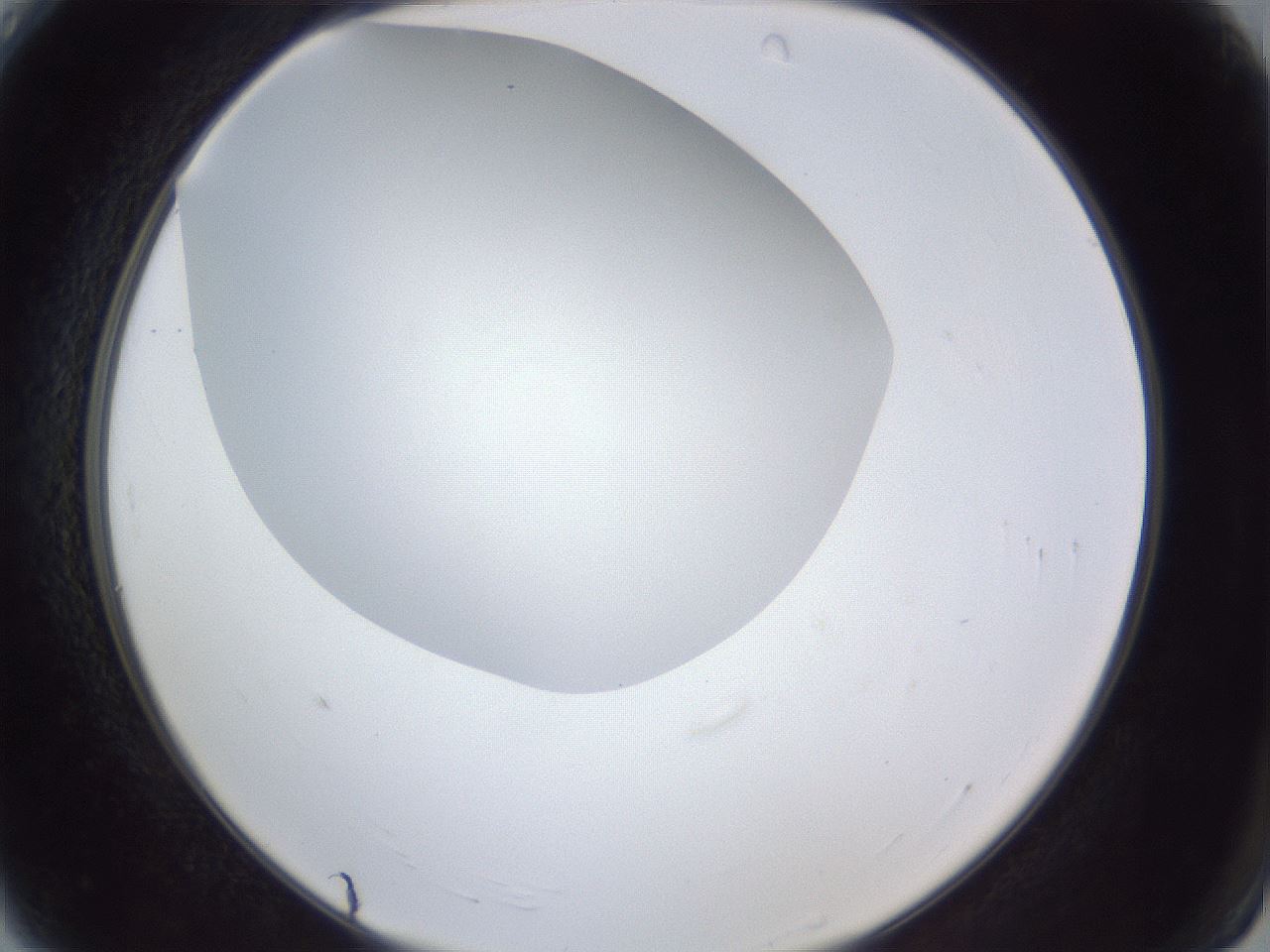 folderID29_plateID1029_batchID1998_wellNum4_profileID1_d2_r44139_ef.jpg