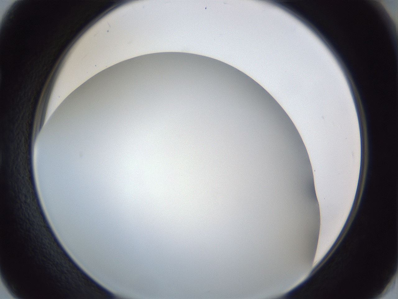 folderID29_plateID1029_batchID1998_wellNum50_profileID1_d1_r44230_ef.jpg