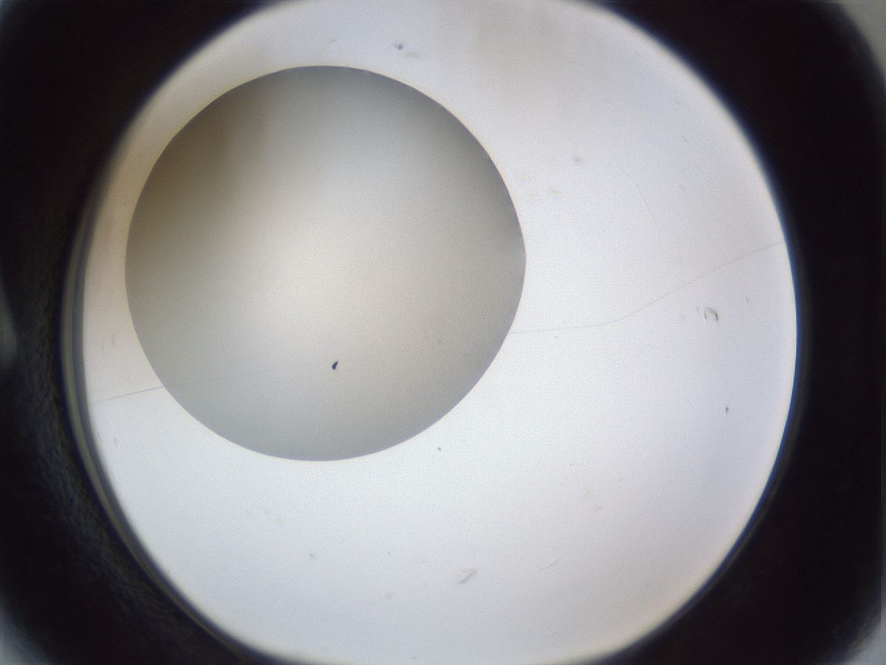 folderID29_plateID1029_batchID1998_wellNum6_profileID1_d1_r44142_ef.jpg