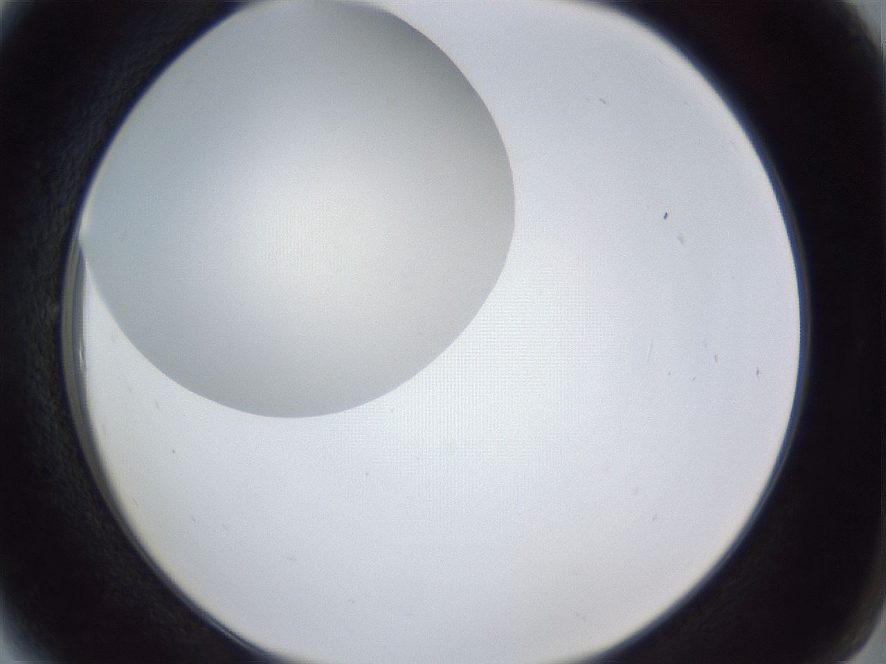 folderID29_plateID1029_batchID1998_wellNum6_profileID1_d2_r44143_ef.jpg