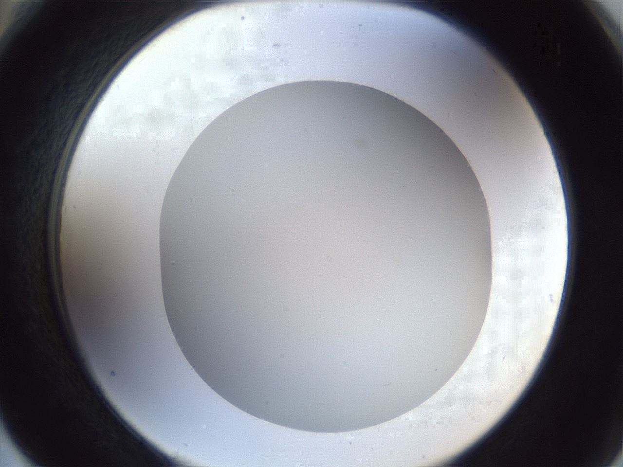 folderID29_plateID1029_batchID1998_wellNum76_profileID1_d2_r44283_ef.jpg
