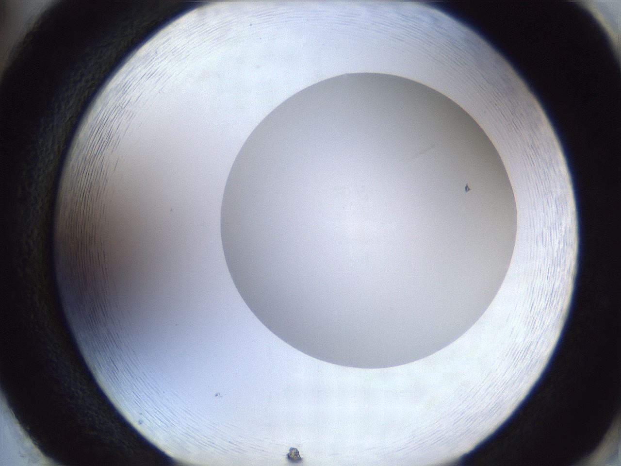 folderID29_plateID1029_batchID1998_wellNum86_profileID1_d2_r44303_ef.jpg