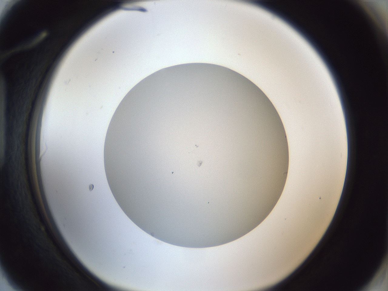 folderID29_plateID1029_batchID1998_wellNum90_profileID1_d1_r44310_ef.jpg