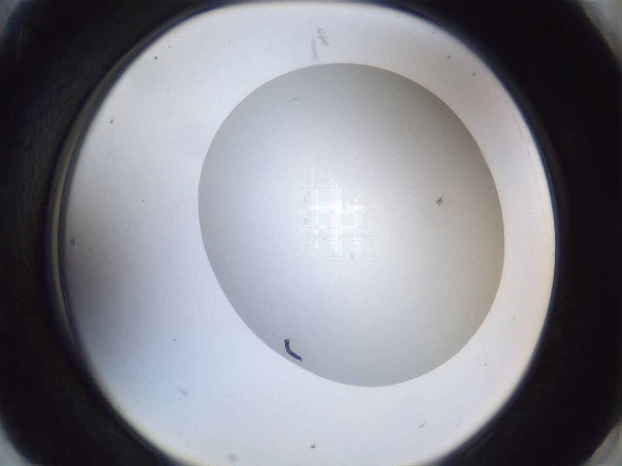 folderID29_plateID1029_batchID1998_wellNum90_profileID1_d2_r44311_ef.jpg