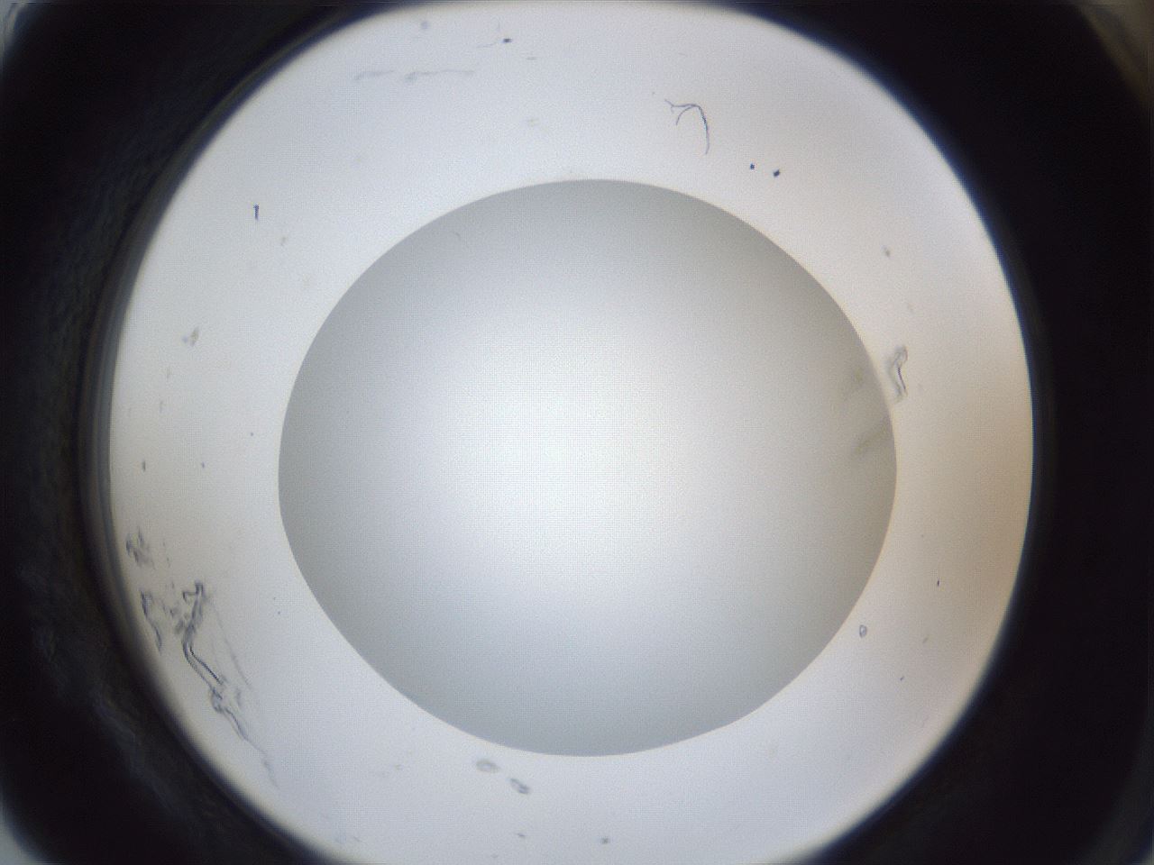 folderID29_plateID1029_batchID1998_wellNum91_profileID1_d2_r44313_ef.jpg