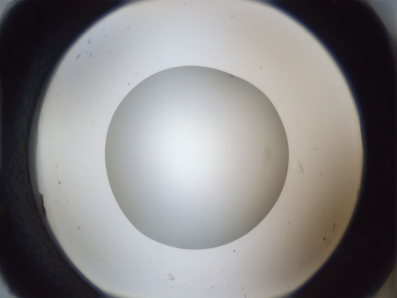 folderID29_plateID1029_batchID1998_wellNum92_profileID1_d1_r44314_ef.jpg
